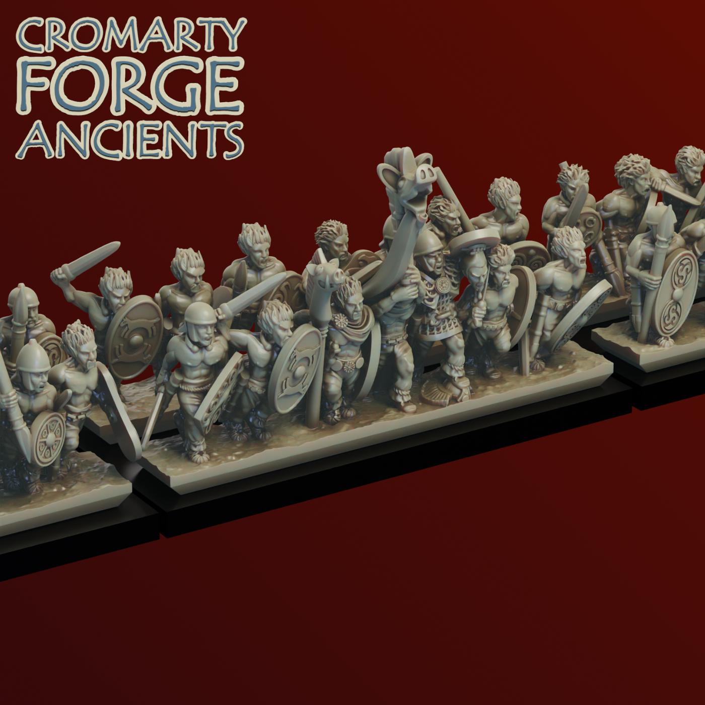 10mm Briton: Warriors