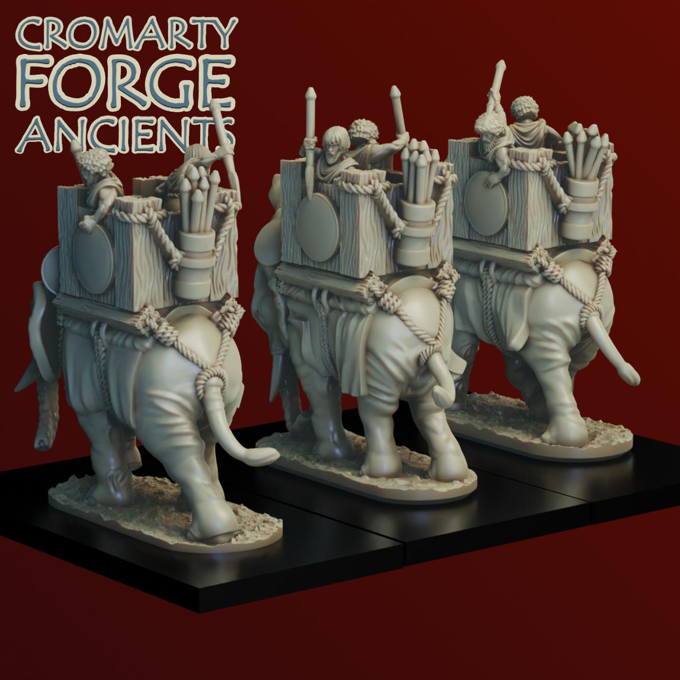 10mm Numidians: Elephants - Image 6