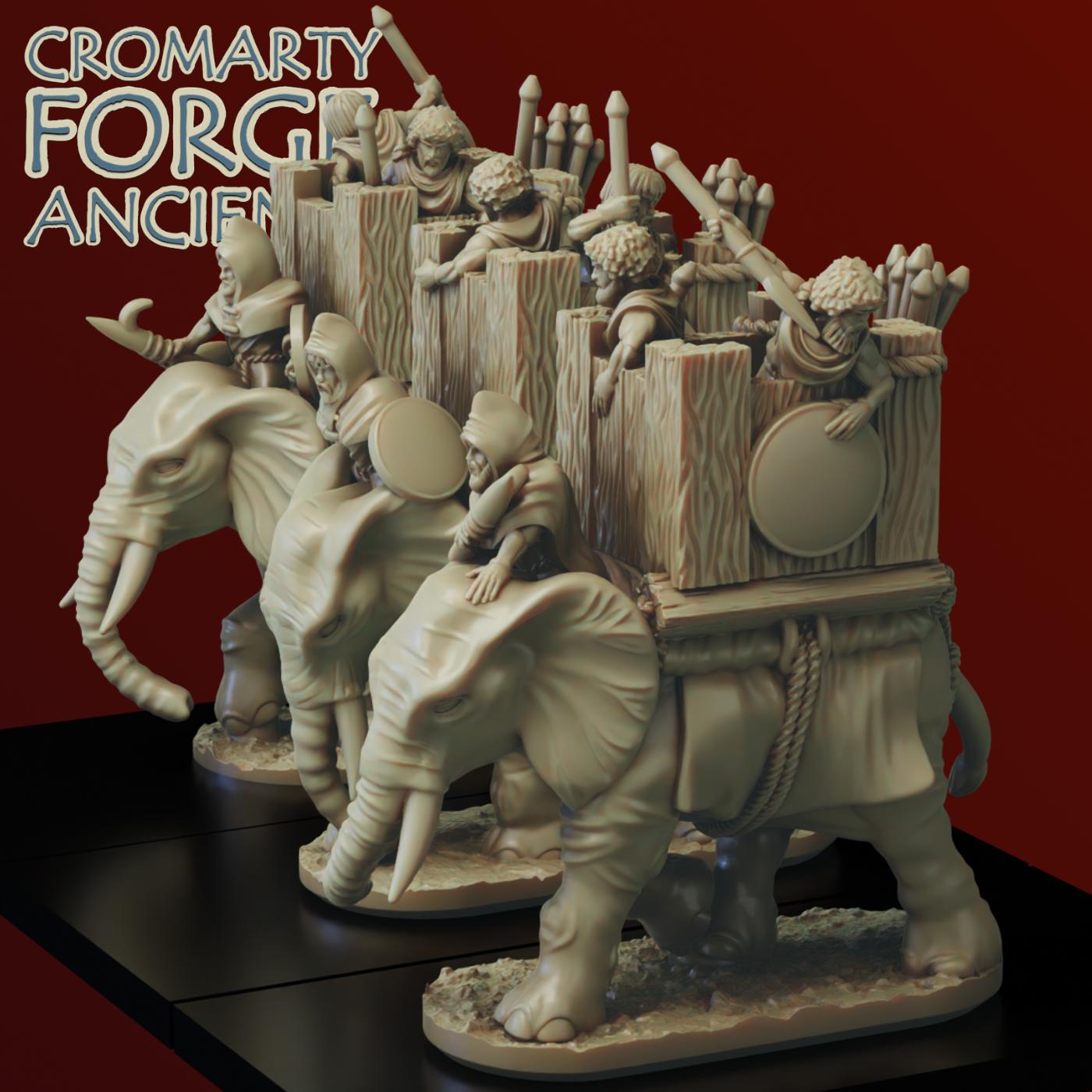 10mm Numidians: Elephants - Image 5