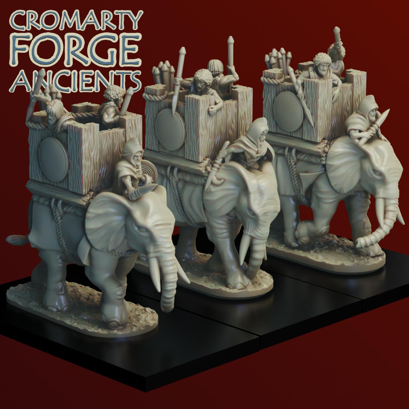 10mm Numidians: Army - Image 7