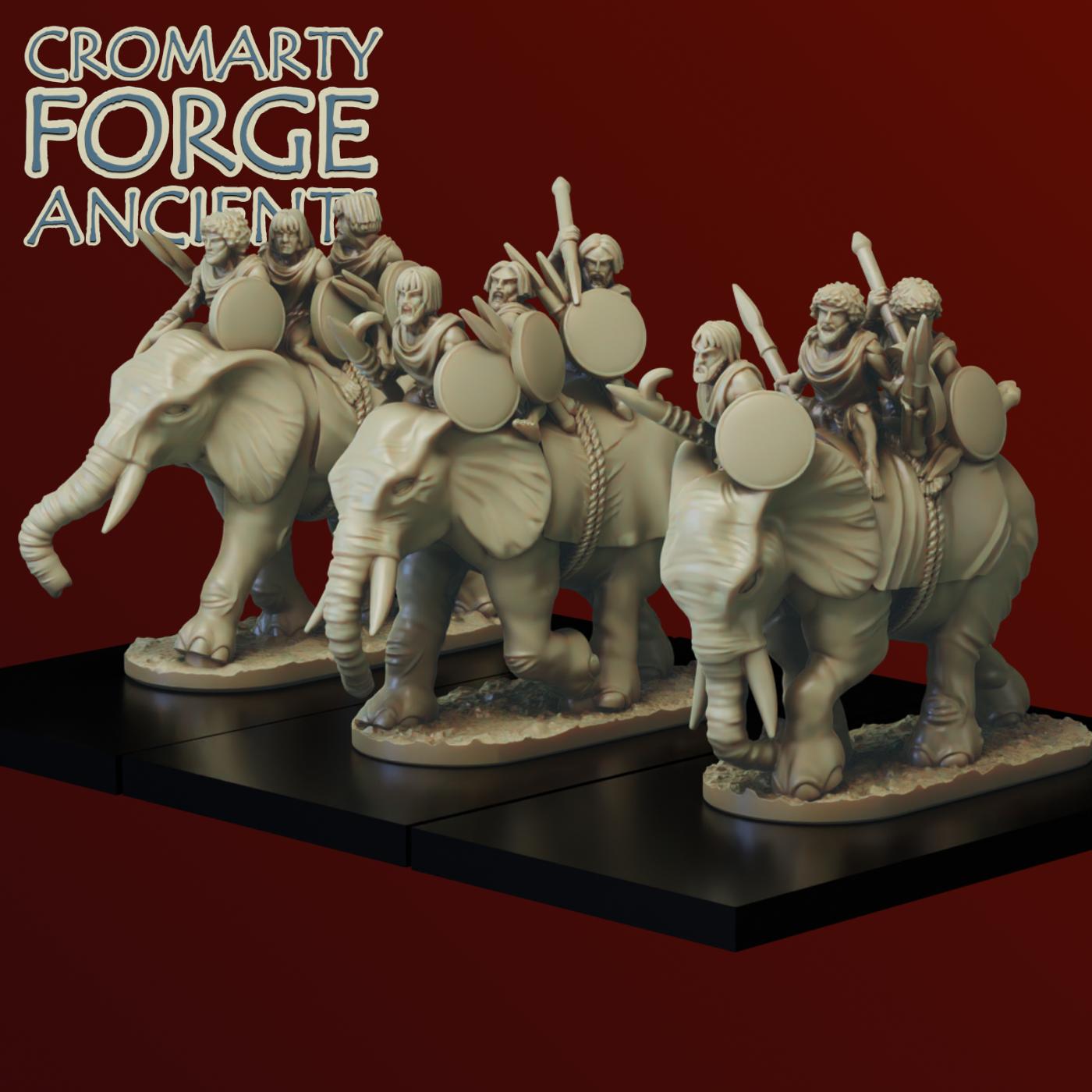 10mm Numidians: Elephants