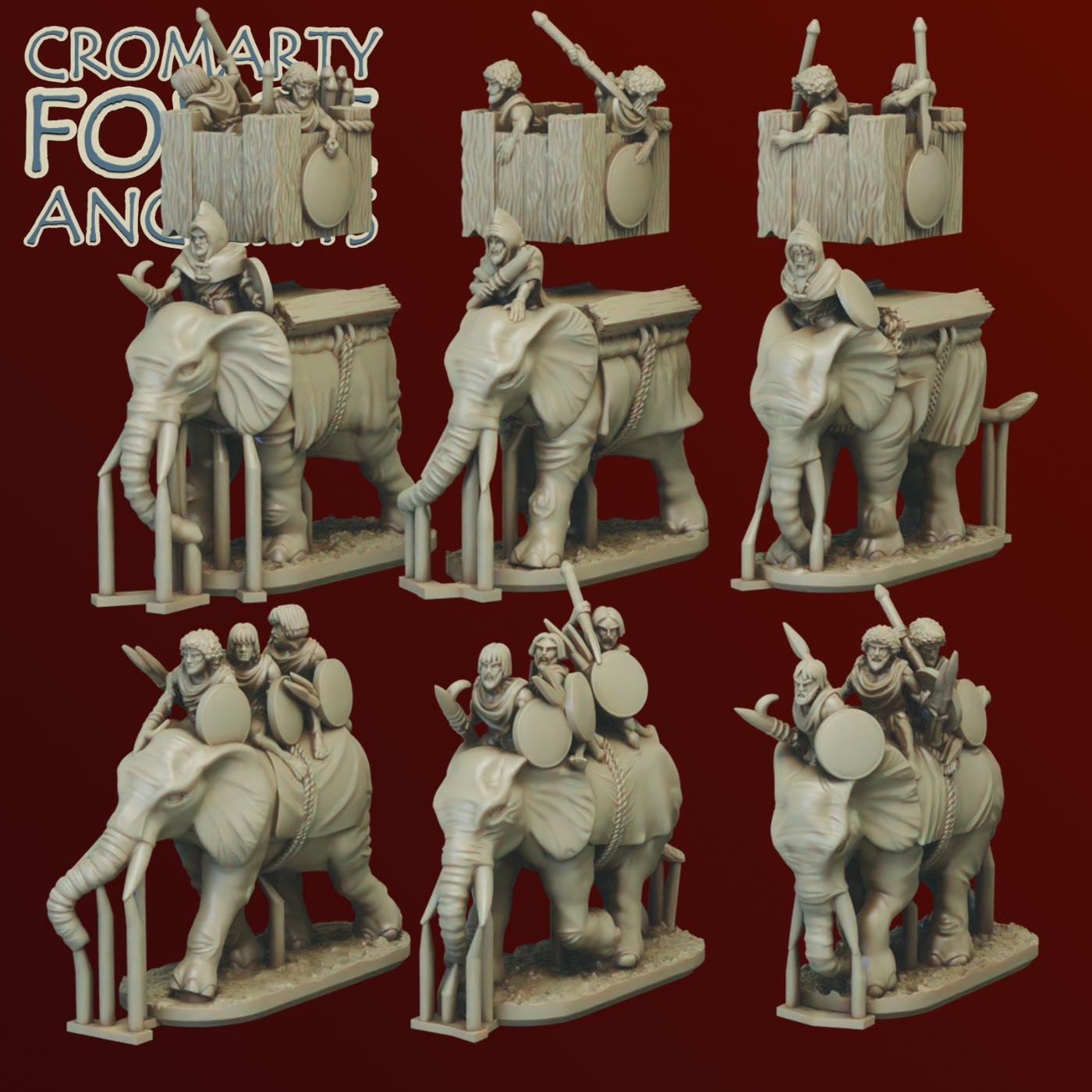 10mm Numidians: Elephants - Image 3