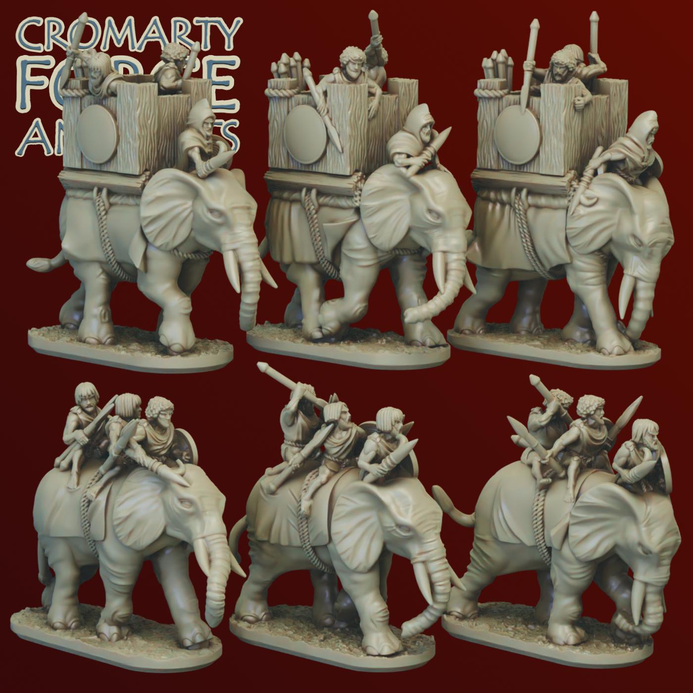 10mm Numidians: Elephants - Image 2