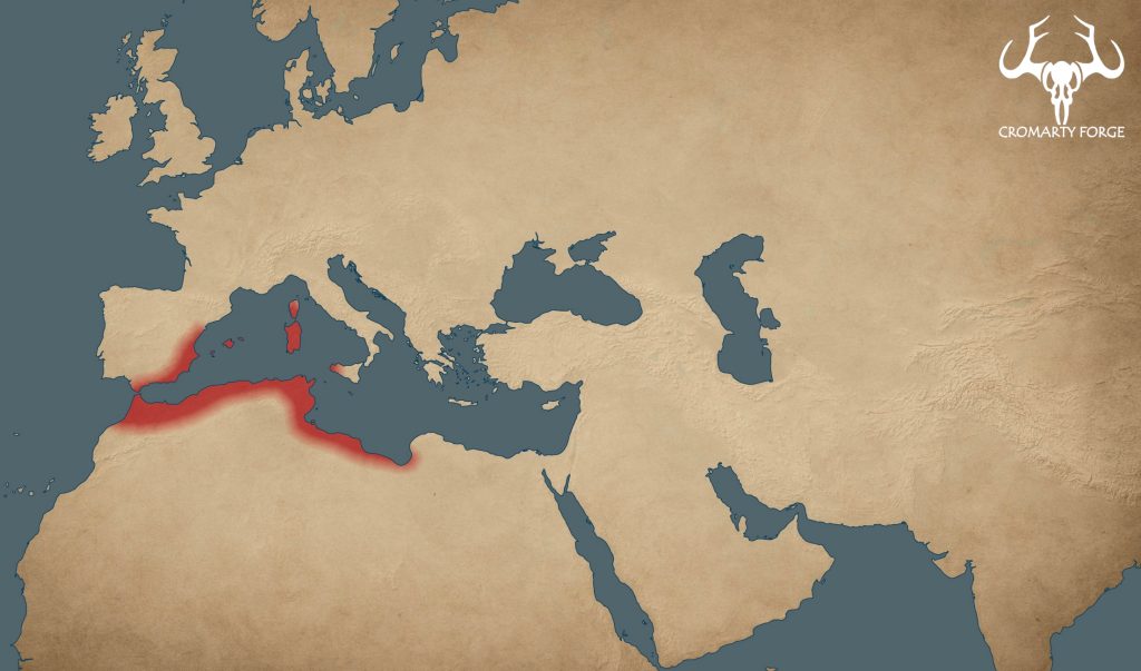 Rough map of the Carthaginian empire. 