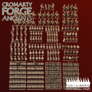 15mm Samnite : Army